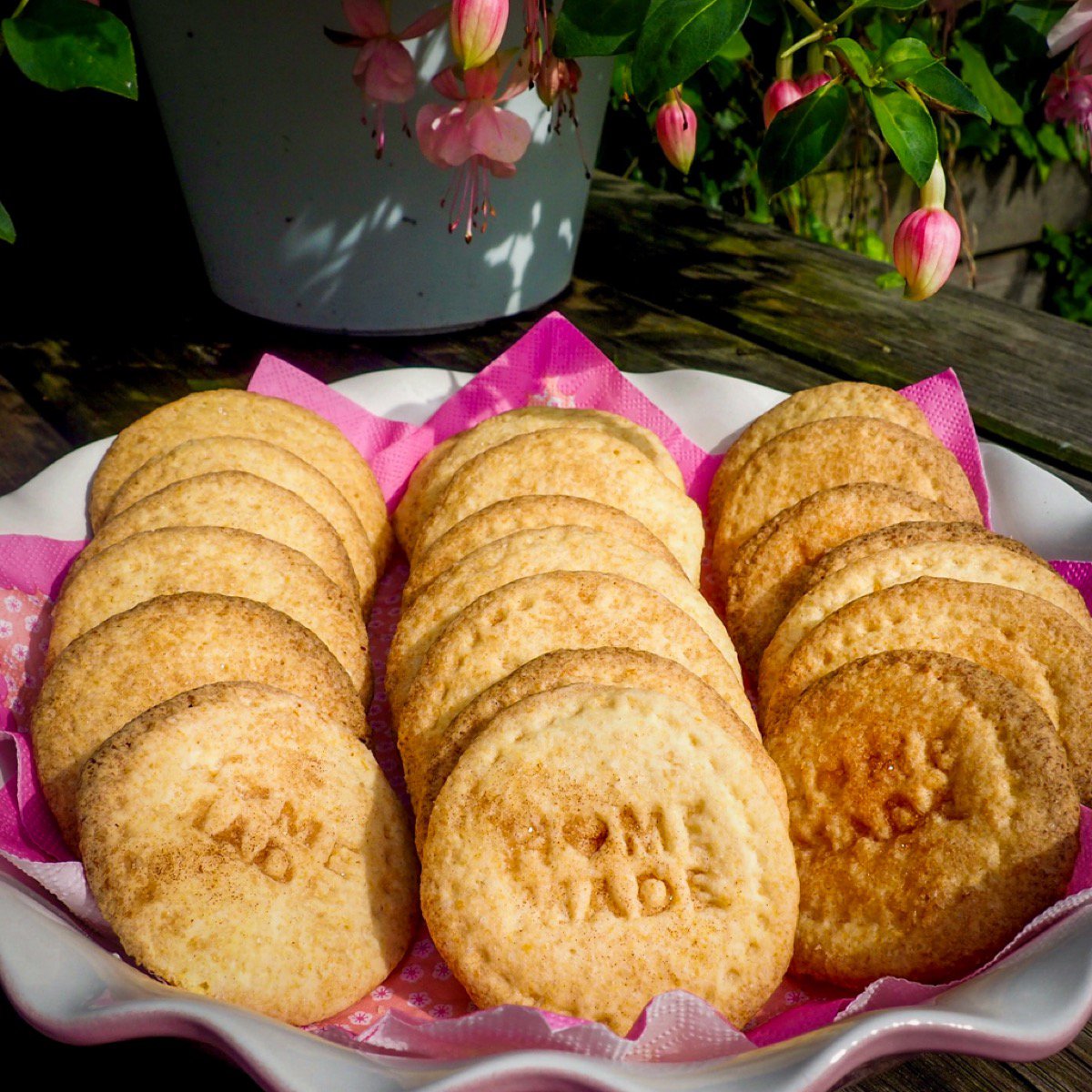 Foto van Glutenvrije Koekjes